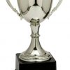 CZC607S Trophy Cup