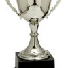 A silver trophy cup with decorated handles on the side. It's mounted on a black plastic base.