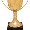 CZC701G Zinc Trophy Cup