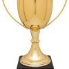 CZC704G Zinc Trophy Cup