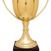 CZC706G Zinc Trophy Cup