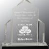 iMP136S Silver Jewel Acrylic Award