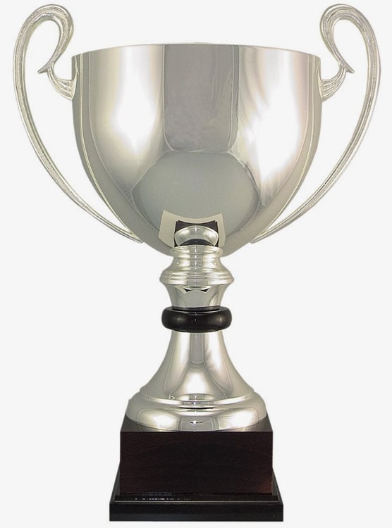 100-1 Silver Trophy Cup