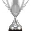 104-1 Silver Trophy Cup