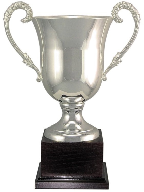 Endeavour Silver Presentation Cup Trophy Award 240mm FREE Engraving 