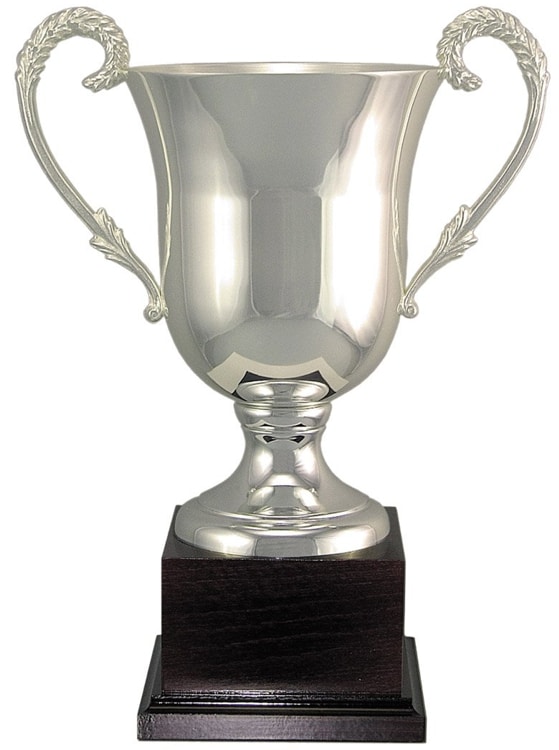 Free p&p & Engraving Elite Perpetual Cup Presentation Trophy Silver 12 5/8" 