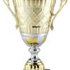 AMC21-ABC Trophy Cup
