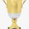 DTC20-B Trophy Cup