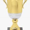 DTC20-C Trophy Cup