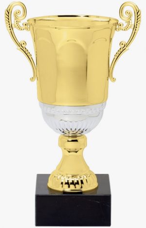 DTC20-C Trophy Cup