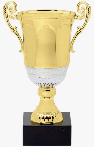 DTC20-C Trophy Cup