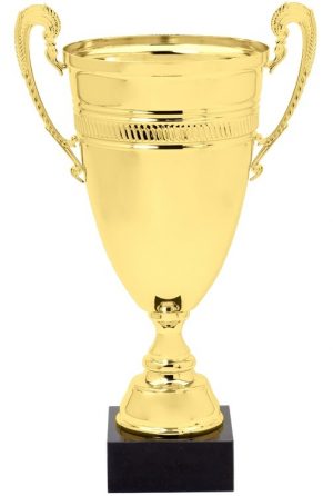 DTC44-A Gold Metal Trophy Cup