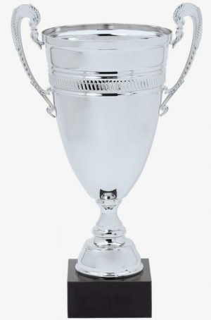 DTC45-B Silver Trophy Cup