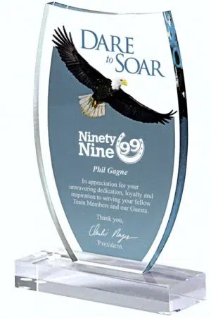 DT821 Dare to Soar Acrylic Award