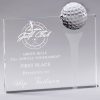 CRY443 Golf Award