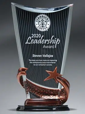 DK840K Bronze Brilliance Acrylic Award