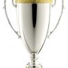 1145 Trophy Cup