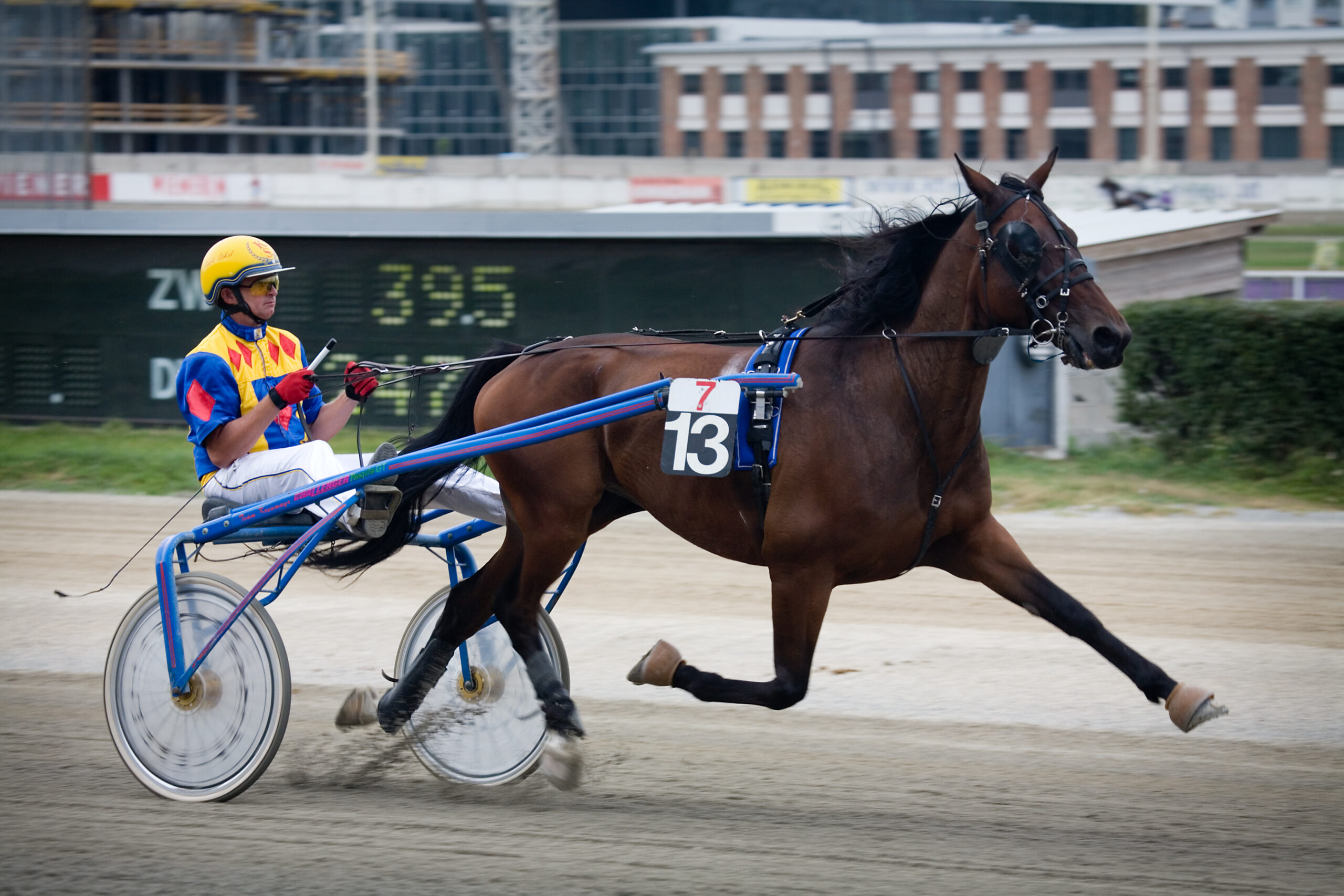 What is a Sulky? Learn all about Sulky Harness Racing What is a Sulky? Learn all about Sulky Harness Racing