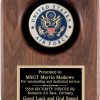 Air Force Seal Plaque AT51