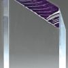 DT610P Purple Acrylic Award