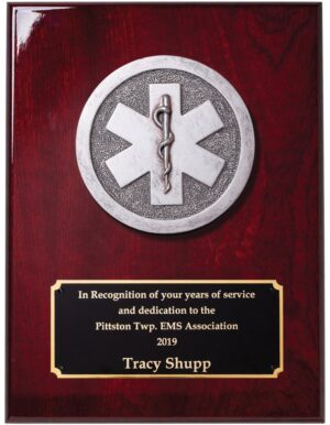 please flip the silver emt logo so the snake head in on top