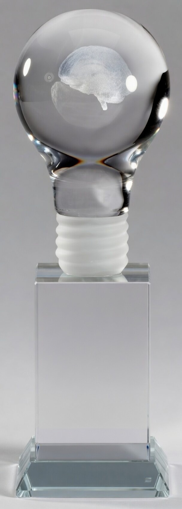 a premium optical crystal lightbulb award with a detailed 3D brain sculpture inside the bulb, mounted on a tall rectangular crystal base with a white screw detail. Shown in a straight frontal view and blank for custom engraving.