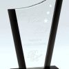 Glass award with curved peak & smoked glass accents on side & base, CRY863 is 7" tall, weighs 1.8 lbs.