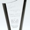 Glass award with curved peak top & smoked glass accents on side & base, CRY864 is 9" tall, weighs 2.2 lbs.