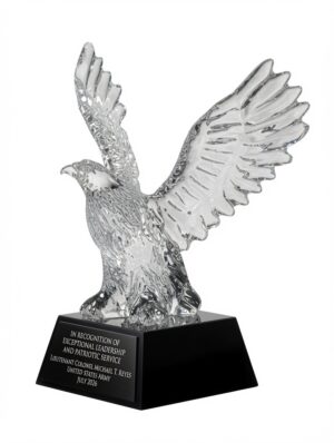 Wings of Freedom Eagle